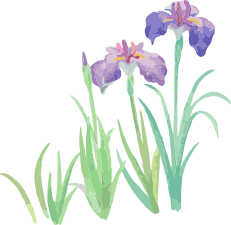 イラスト
